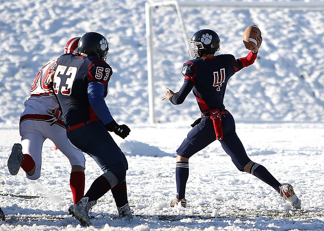 凭借卢卡库 凭借卢卡库