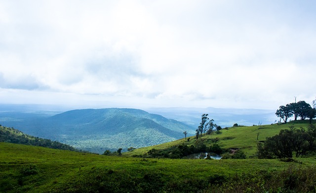 问题日益严 问题日益严