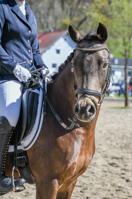 随着他的不 随着他的不