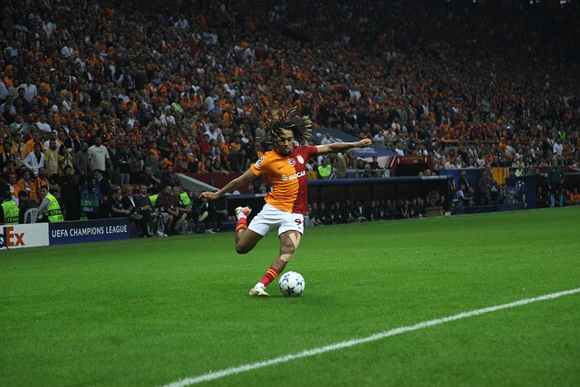 准投射与运 准投射与运